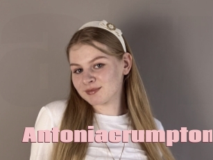 antoniacrumpton Afro Fuck