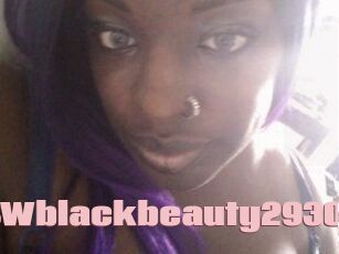 BBWblackbeauty2930