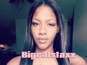 Bigcatstaxx