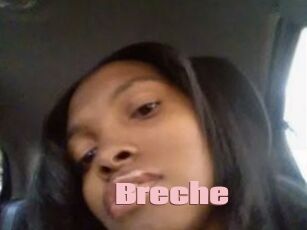 Breche