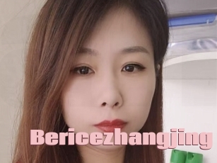 Bericezhangjing