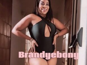 Brandyebony