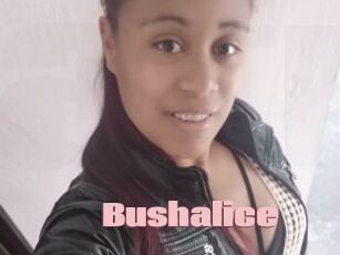 Bushalice