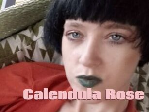 Calendula_Rose