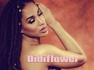 Didiflower