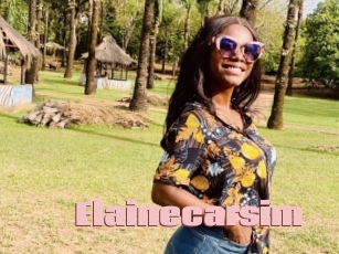 Elainecarsim