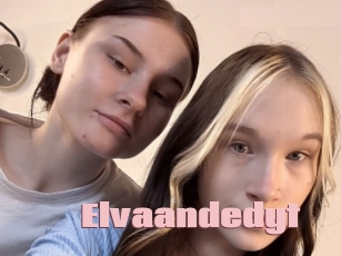 Elvaandedyt