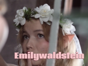Emilywaldstein