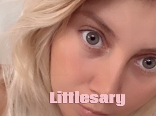 Littlesary