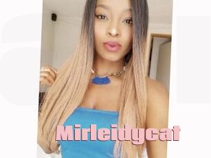 Mirleidycat