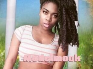 Modelmook
