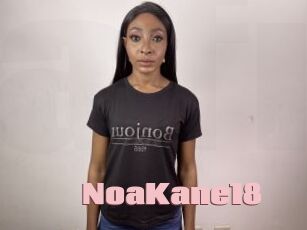 NoaKane18
