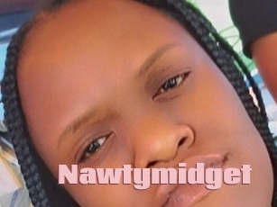 Nawtymidget