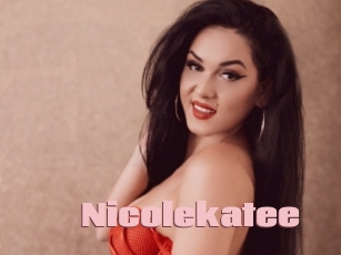 nicolekatee Afro Fuck
