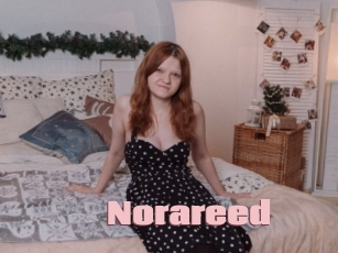 Norareed