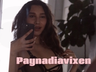 Paynadiavixen