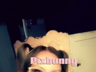 pixbunny Afro Fuck