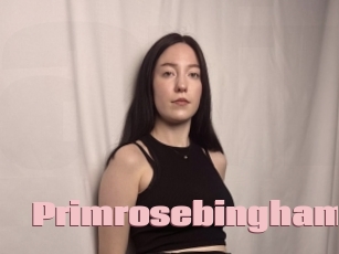 primrosebingham Afro Fuck