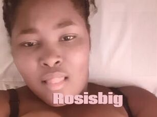 Rosisbig
