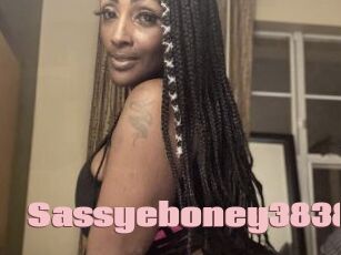 Sassyeboney3838