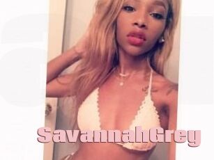 Savannah_Grey