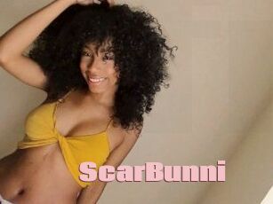 ScarBunni