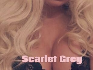 Scarlet_Grey