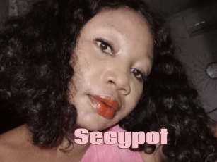 Secypot