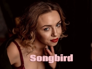 songbird Afro Fuck