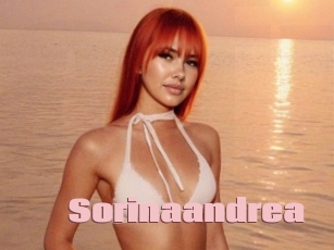sorinaandrea Afro Fuck