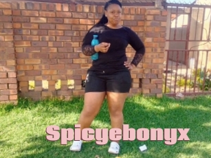 Spicyebonyx