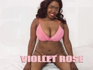 VIOLLET_ROSE
