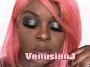 VenusianJ