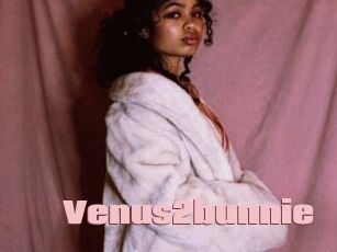 Venus2bunnie