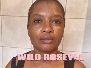 WILD_ROSEY40