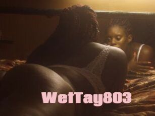 WetTay803