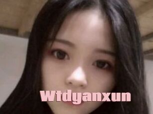 Wtdyanxun