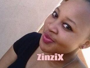ZinziX